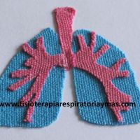 www.fisioterapiarespiratoriaymas.com