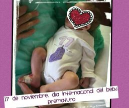 Petits grans herois profesional Petits grans herois